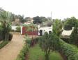 House For Rent In Kololo